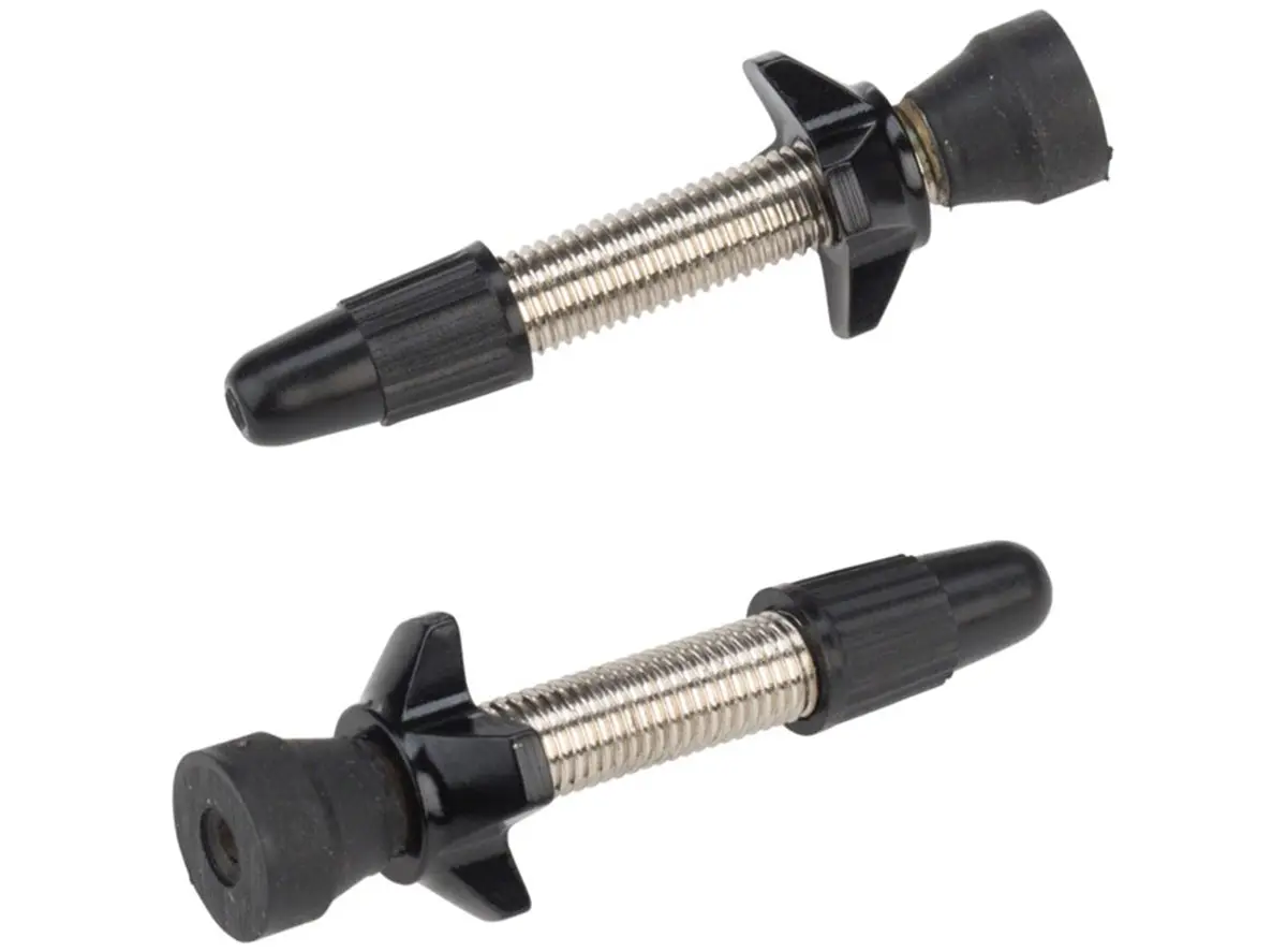 Problem Solvers Big P-Nut Tubeless Valve Kit 1