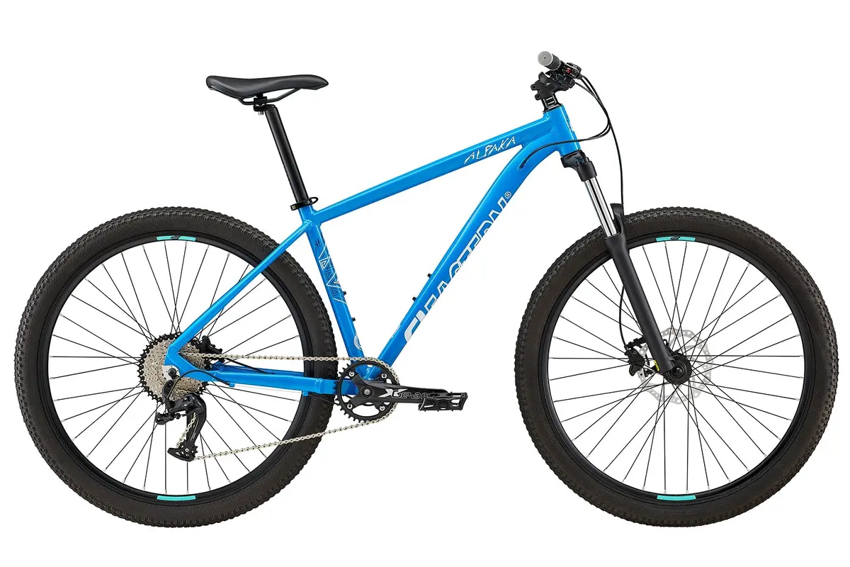 Eastern Alpaka 29 Mtb Hardtail Bike - Blue 1